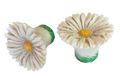 Knopf Ø 38mm Margaritenblüte