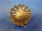 Glasknopf Ø 37mm mit Blattgold